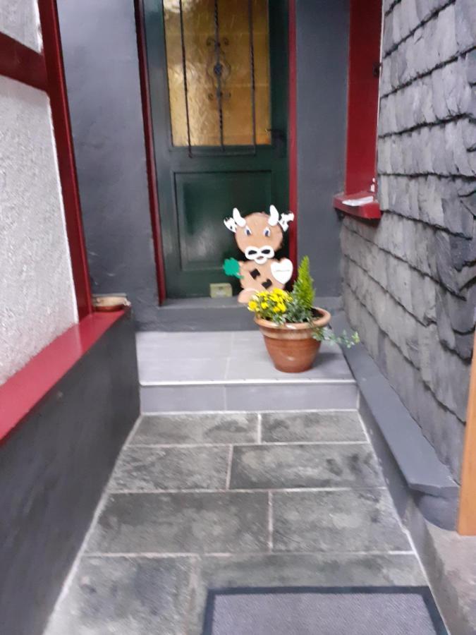 Hallerblick Monschau Bagian luar foto