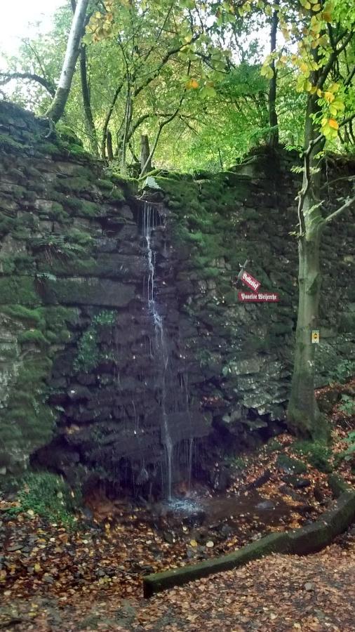 Hallerblick Monschau Bagian luar foto