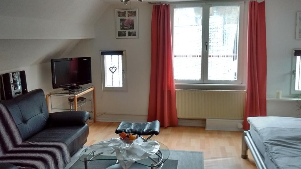 Hallerblick Monschau Bagian luar foto
